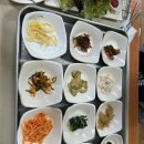 하마집 티스토리