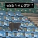 강민혁 카카오 검색결과