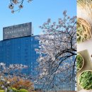 이-프로모션 이미지