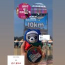 파리바게트창녕점 | [운동] #13. 2026 제23회 울산 태화강국제마라톤 10K 후기🏃🏻‍♀️🏅🌈
