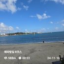방어진시외터미널 | 해파랑길 8코스(염포산은 힘들고 출렁다리는 흔들려)