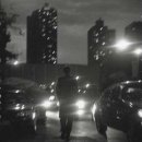 꽃다지 앞 이미지