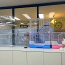 특별한 동물가게 광주점 이미지