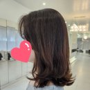 장제이