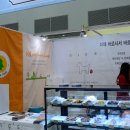 슈가 펫살롱 이미지