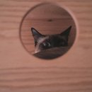 오뗄뒤샤 이미지