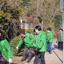 새마을전통시장 이미지