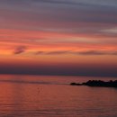 에덴농원 이미지