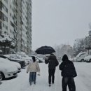 설 이미지
