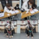 합기도 심무도관 이미지