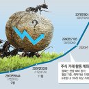 개미통신 이미지