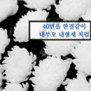 순천장의사 이미지