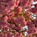 성산패총로-2 이미지