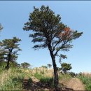 거북약수터 이미지