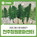문화공간 가꾸기 | 전주정원문화센터 프로그램 식물특강 후기 – 프로그램 신청 방법은?
