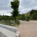 벨라루시펫살롱 이미지