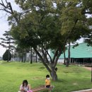 아빠가싸준꼬마김밥 이미지