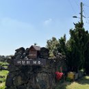 [제주도] 제주도 동쪽 구좌 감성 숙소 여전히제주 b동 후기(독채/조식/밭뷰)