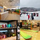 샵 브라더스 | 곤지암리조트 스키장 렌탈샵 브라더스 후기