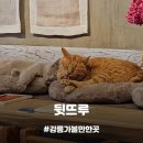 [강릉관광농원] 강릉여행 중 카페 식물원 동물먹이주기체험할 수 있는 아이와 함께 가볼만한 곳, 뒷뜨루...
