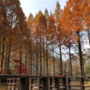 장태산 자연 휴양림 이미지