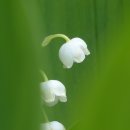 지산무학경로당 이미지