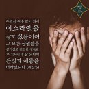 애가 이미지
