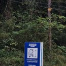 소양계곡낚시터 이미지