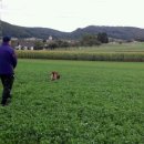 애견&만들기 이미지