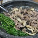 원조생오리