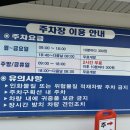 데이즈율