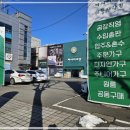 금송클린 | 까사디바인 대구달서점 대구 가구 혼수 입주 가구 원스탑 쇼핑 가능한 대형 가구매장