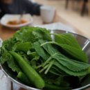 산포장어 이미지