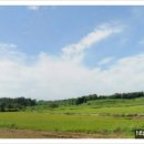 평택토지공인중개사사무소 이미지