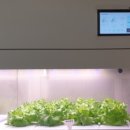 볼눈경로당 이미지