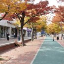 (주)전국낙지자랑