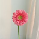 새별초등학교 이미지