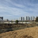 정촌면사무소 이미지