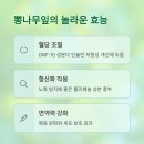치유의잎한의원 티스토리