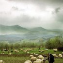 André Rieu ft. Gheorghe Zamfir - The Lonely Shepherd외로운 양치기 이미지