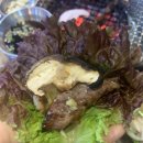 태화강소갈비살참숯구이 이미지