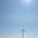 월정씨하루 이미지