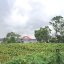 숲내음공원 이미지