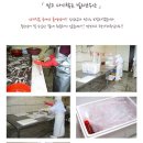 바다장어 이미지