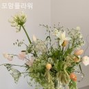 모앙