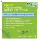 숲속공기 Daum카페