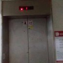 경기도 수원시 영통구 매탄로 네이버블로그