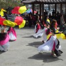 금성면사무소 이미지