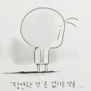 페리테일 이미지