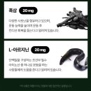 활력 증진 건강식품 추천｜익스트림 블랙마카 2500 후기